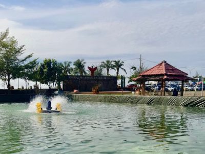 Dinas Perikanan Bulukumba menjalankan budidaya nila intensif di kolam terpal Pantai Merpati untuk mendukung ketahanan pangan daerah dan rantai suplai Program Makan Bergizi Gratis (MBG).