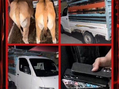 Petugas kepolisian mengamankan terduga pelaku kasus pencurian ternak Bulukumba di Mapolres Bulukumba