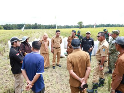 Panen raya padi di Desa Bontoharu Kecamatan Kindang dihadiri Bupati Bulukumba bersama petani