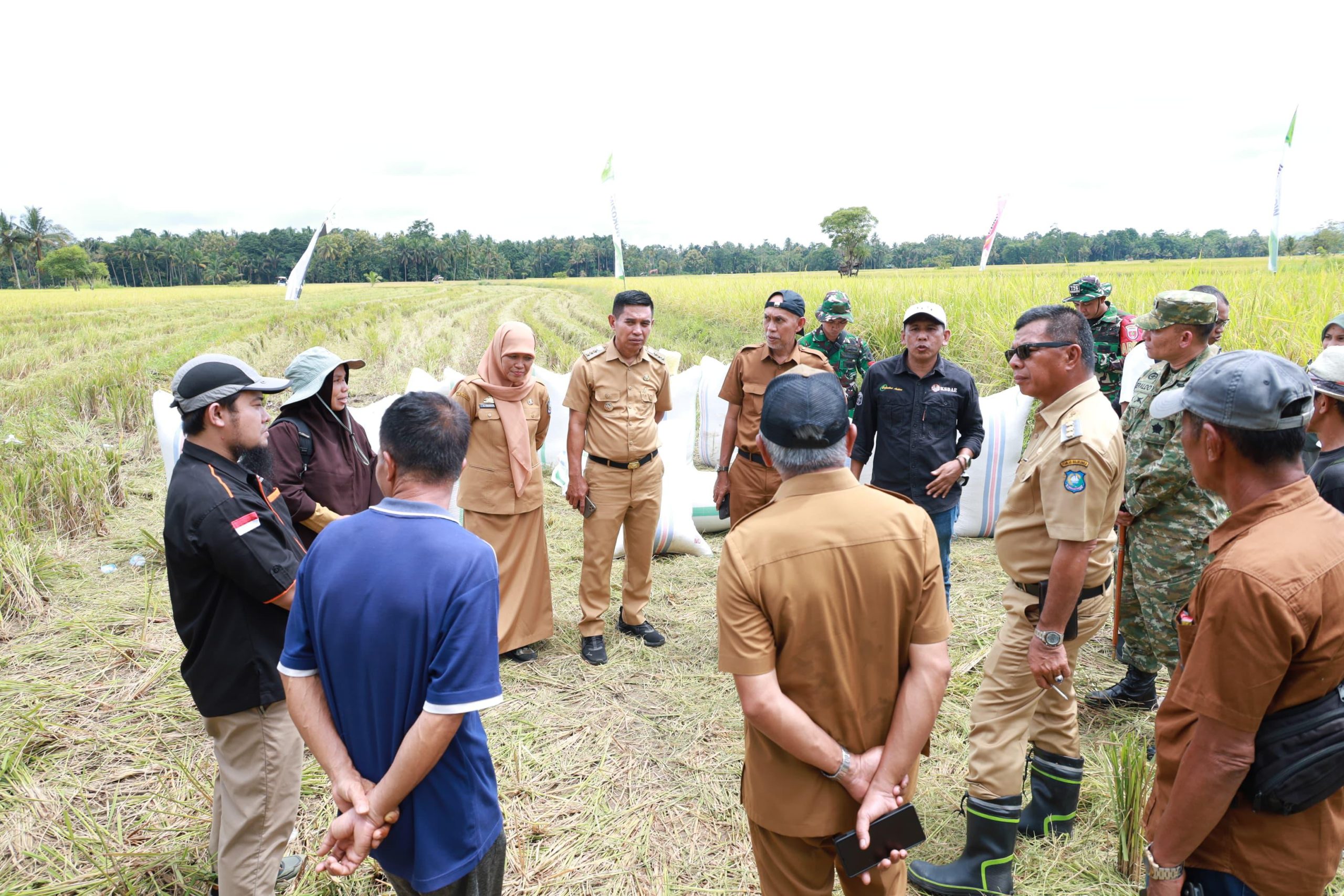 Panen raya padi di Desa Bontoharu Kecamatan Kindang dihadiri Bupati Bulukumba bersama petani