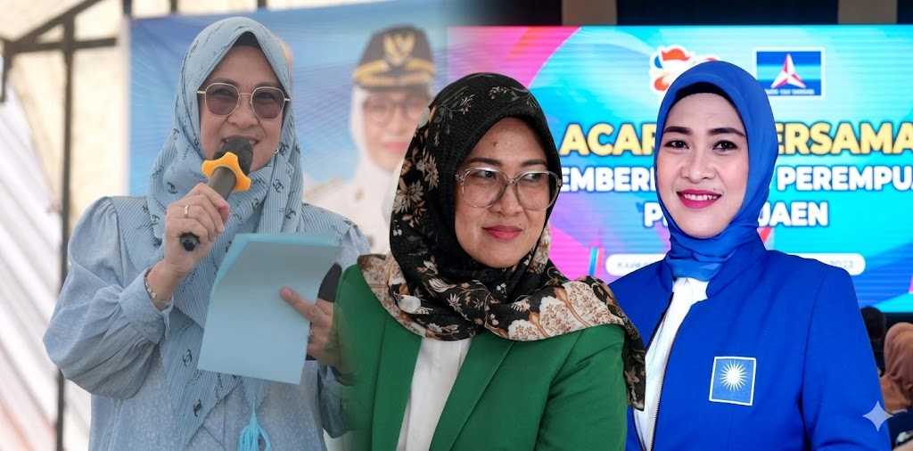 Husniah Talenrang, Mantan Ketua DPW PAN yang kini menjabat Wasekjen DPP PAN.